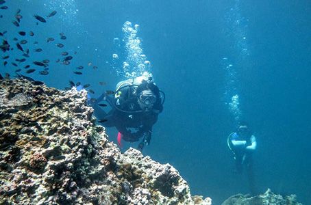 Thai Marine Diving